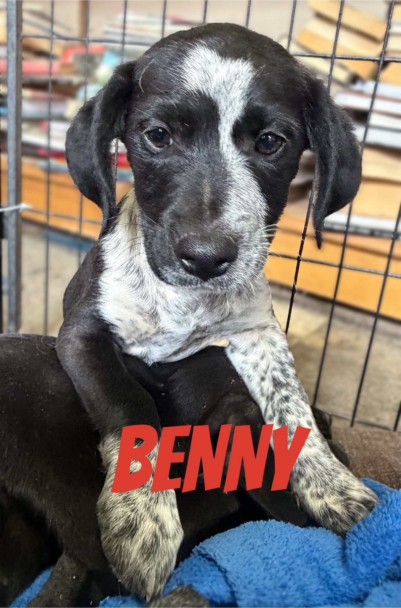 Benny