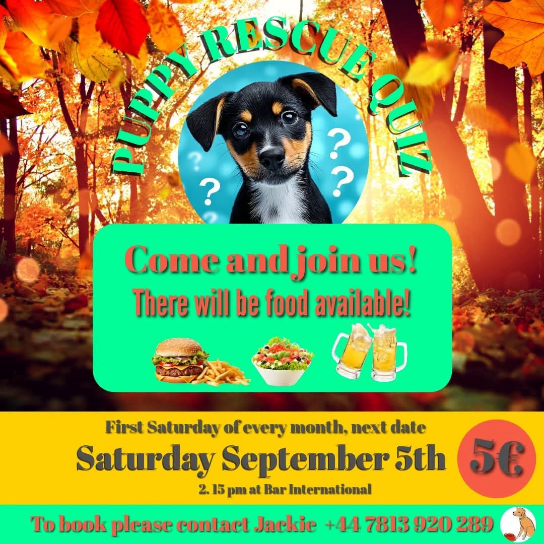 Puppy Rescue Quiz — Saturday 5 September at Bar International